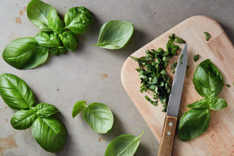 Don’t Make These Mistakes When Growing Fresh Basil At Your Beaufort Home